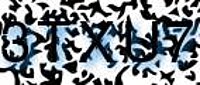 grafischer Sicherheitscode