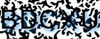 grafischer Sicherheitscode