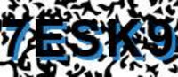 grafischer Sicherheitscode