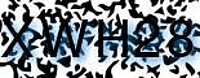 grafischer Sicherheitscode