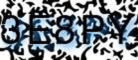 grafischer Sicherheitscode