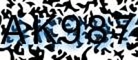 grafischer Sicherheitscode