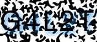 grafischer Sicherheitscode