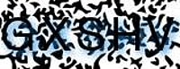 grafischer Sicherheitscode