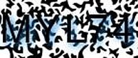 grafischer Sicherheitscode