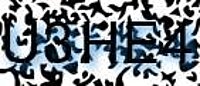 grafischer Sicherheitscode