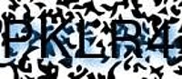 grafischer Sicherheitscode