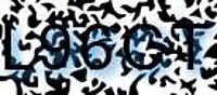 grafischer Sicherheitscode