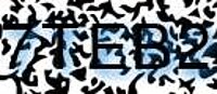 grafischer Sicherheitscode