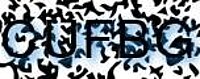 grafischer Sicherheitscode