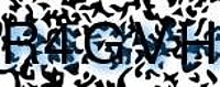 grafischer Sicherheitscode