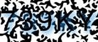 grafischer Sicherheitscode