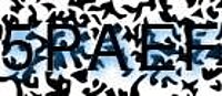 grafischer Sicherheitscode
