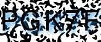 grafischer Sicherheitscode