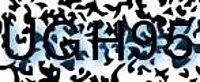 grafischer Sicherheitscode