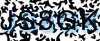grafischer Sicherheitscode
