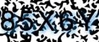 grafischer Sicherheitscode