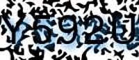 grafischer Sicherheitscode