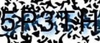 grafischer Sicherheitscode