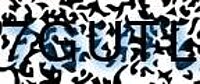 grafischer Sicherheitscode