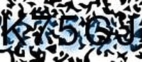 grafischer Sicherheitscode