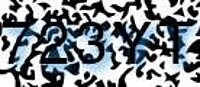 grafischer Sicherheitscode