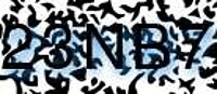 grafischer Sicherheitscode