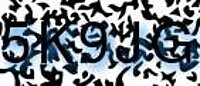 grafischer Sicherheitscode