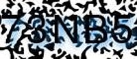 grafischer Sicherheitscode