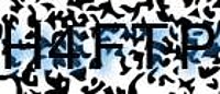 grafischer Sicherheitscode