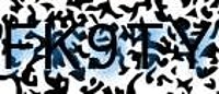 grafischer Sicherheitscode