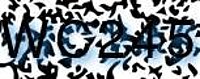 grafischer Sicherheitscode
