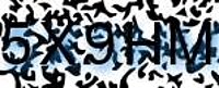 grafischer Sicherheitscode