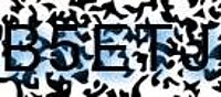 grafischer Sicherheitscode