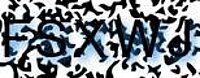 grafischer Sicherheitscode