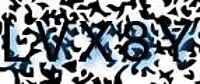 grafischer Sicherheitscode