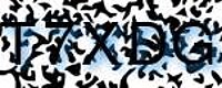 grafischer Sicherheitscode