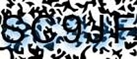 grafischer Sicherheitscode