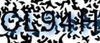 grafischer Sicherheitscode
