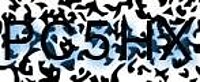 grafischer Sicherheitscode