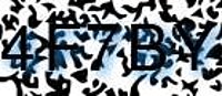 grafischer Sicherheitscode