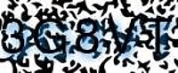grafischer Sicherheitscode