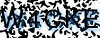 grafischer Sicherheitscode