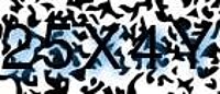 grafischer Sicherheitscode