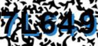 grafischer Sicherheitscode