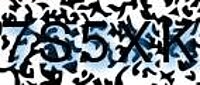 grafischer Sicherheitscode