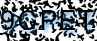 grafischer Sicherheitscode