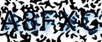 grafischer Sicherheitscode