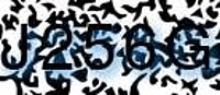 grafischer Sicherheitscode