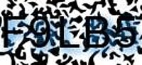 grafischer Sicherheitscode